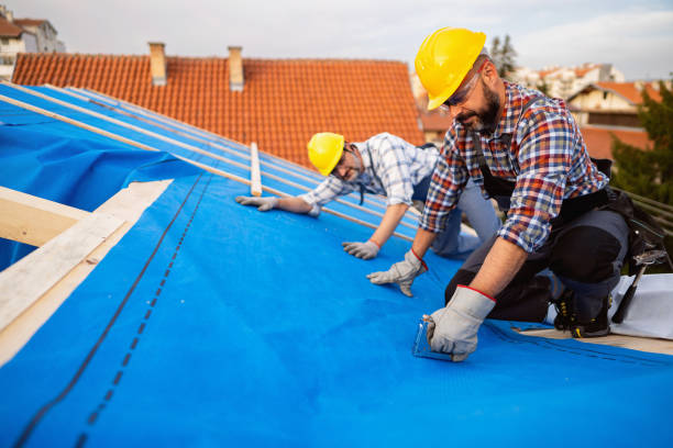 Best Local Roofing Companies  in Thorp, WI