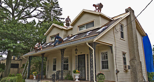 Best Best Roofing Contractors  in Thorp, WI