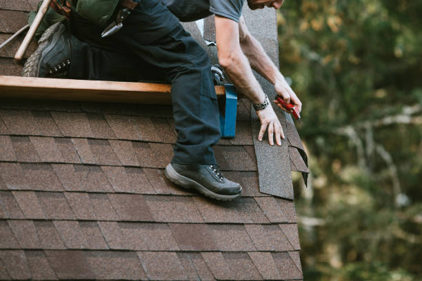Best New Roof Installation  in Thorp, WI